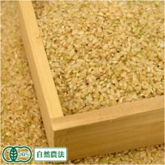 【令和7年度産】有機米 ササニシキ 玄米 10kg 有機JAS 自然農法 (宮城県 仙台たんの農園) 産地直送