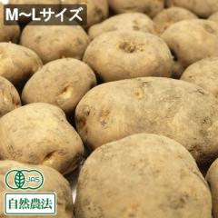 【ポイント3倍】有機じゃがいも M～Lサイズ 5kg 有機JAS 自然農法 (北海道 はるか農園) 産地直送 ジャガイモ