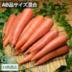 【AB品サイズ混合・ポイント3倍】有機にんじん(洗い) 京くれない 5kg 有機JAS 自然農法 (青森県 やまもと農産) 産地直送