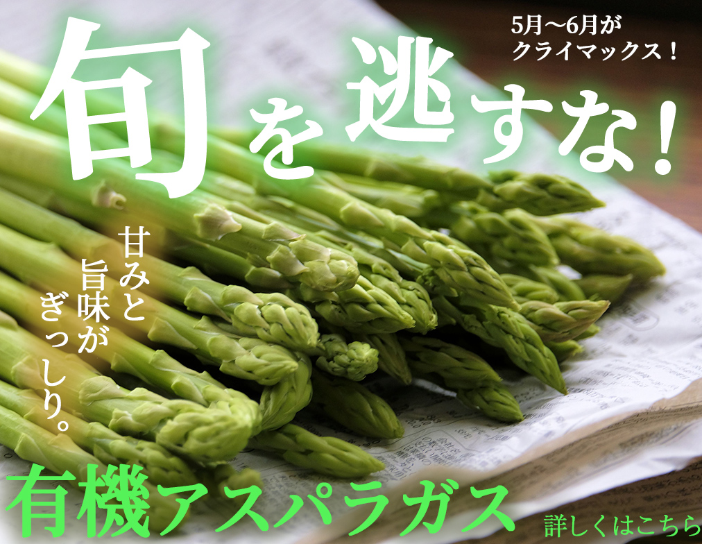 最大78%OFFクーポン 里芋 有機栽培 無農薬 有機野菜 オーガニック 産地直送 農家直送 野菜 農家 九州 九州産 熊本 熊本県産 熊本野菜  里芋5kg