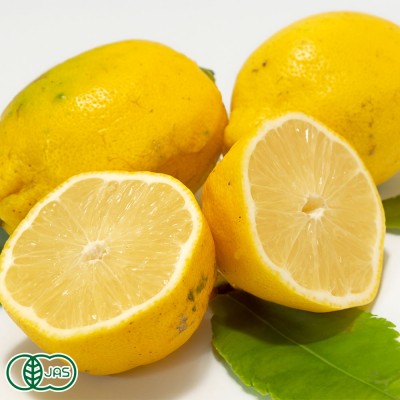 有機レモン(璃の香) A品サイズ混合 3kg 有機JAS (佐賀県 佐藤農場株式会社) 産地直送