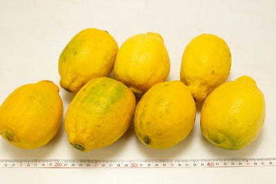 有機レモン(璃の香) A品サイズ混合 3kg 有機JAS (佐賀県 佐藤農場株式会社) 産地直送