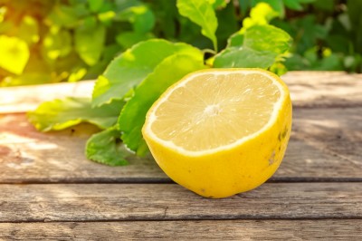 有機レモン(璃の香) A品サイズ混合 5kg 有機JAS (佐賀県 佐藤農場株式会社) 産地直送