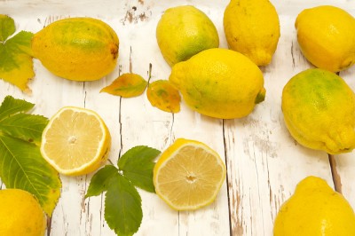 有機レモン(璃の香) A品サイズ混合 10kg 有機JAS (佐賀県 佐藤農場株式会社) 産地直送