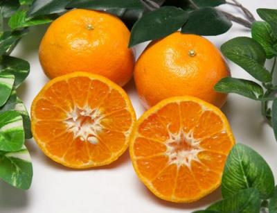 有機 ポンカン A品 10kg 有機JAS  (佐賀県 佐藤農場株式会社) 産地直送