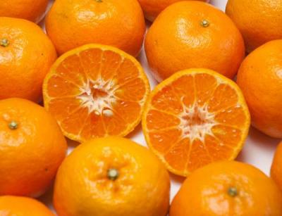 有機 ポンカン A品 10kg 有機JAS  (佐賀県 佐藤農場株式会社) 産地直送