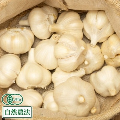 【セール】有機田子にんにく Mサイズ(玉) 10kg 有機JAS・自然農法 (青森県 やまもと農産) 産地直送