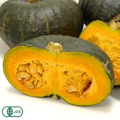 【ポイント2倍】有機かぼちゃ ほっとけ栗たん 5kg 有機JAS (山口県 めぐみ農園) 産地直送