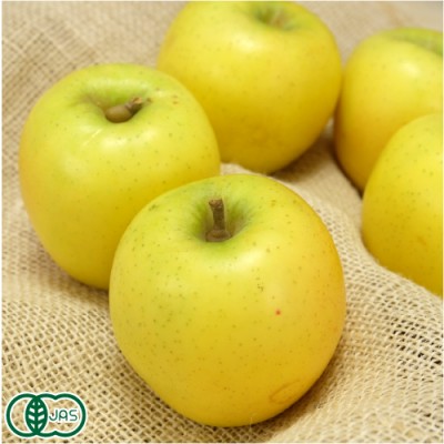 【家庭用】 有機りんご 黄色2種セット 3kg箱 有機JAS (青森県 北上農園) 産地直送