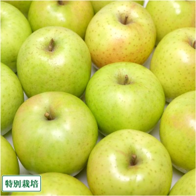 【セール】りんご 王林 家庭用 5kg箱 特別栽培 (青森県 さいとうりんご園) 産地直送