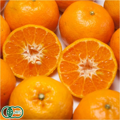 有機 ポンカン A品 3kg 有機JAS (佐賀県 佐藤農場株式会社) 産地直送