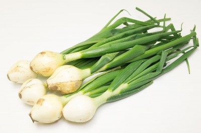 葉付き玉ねぎ 約2kg×2箱 自然農法 無肥料栽培 (兵庫県淡路島 花岡農恵園) 産地直送