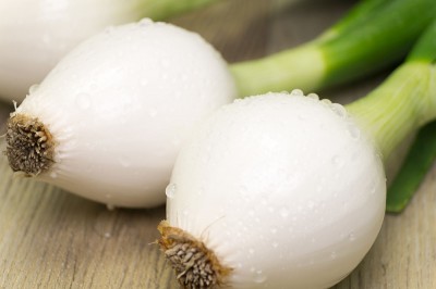 葉付き玉ねぎ 約2kg×2箱 自然農法 無肥料栽培 (兵庫県淡路島 花岡農恵園) 産地直送