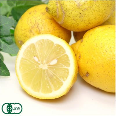 【ポイント5倍・A・Bサイズ混合】 有機 レモン 3kg 有機JAS  (神奈川県 山下農園) 産地直送