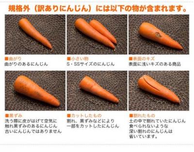 【定期購入】【クール便・訳あり】 にんじん 5kg箱×4箱定期配送(1週間に1箱※出荷周期変更可能)送料無料