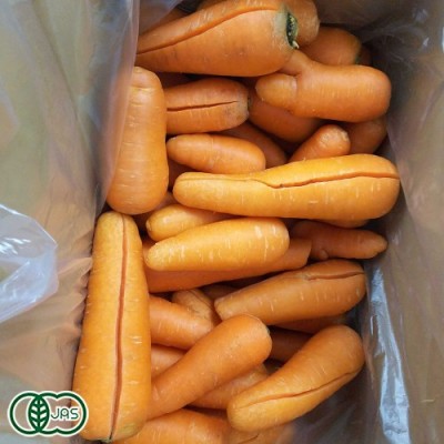 【クール便・訳あり】有機 にんじん(洗い) 5kg 有機JAS (岡山県 吉備路オーガニックワーク) 産地直送