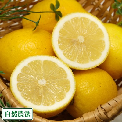 【A・Bサイズ混合】 レモン(ユーレカ) 4kg 自然農法 (和歌山県 泉農園) 産地直送