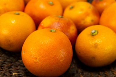 【特大セール・B品訳あり】 ブラッドオレンジ 10kg 有機JAS転換期間 (佐賀県 佐藤農場株式会社) 産地直送