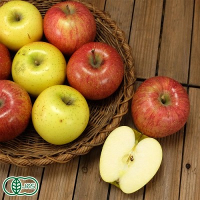 【小玉・家庭用】有機りんご 2色セット 4kg 有機JAS (青森県 北上農園) 産地直送