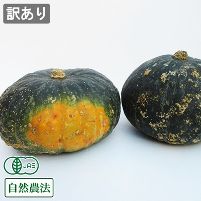 【訳あり・サイズ混合】有機かぼちゃ(えびす) 10kg 有機JAS 自然農法 (熊本県 那須自然農園) 産地直送