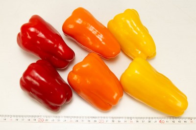 有機カラーピーマン 3色セット(赤・黄・橙) サイズ混合 5kg 有機JAS (鹿児島県 SOHファーム) 産地直送