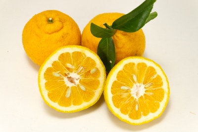 【ポイント3倍・サイズ混合】 紀州三宝柑 10kg 自然農法 (和歌山県 泉農園) 産地直送