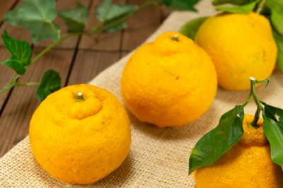 【ポイント3倍・サイズ混合】 紀州三宝柑 10kg 自然農法 (和歌山県 泉農園) 産地直送