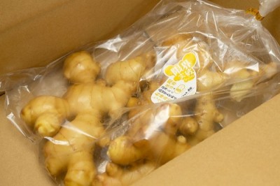 【年間定期予約:1/19受付〆切】限界突破ショウガ 1kg×12回 有機JAS (高知県 ラッキー農園) 生姜 しょうが 産地直送