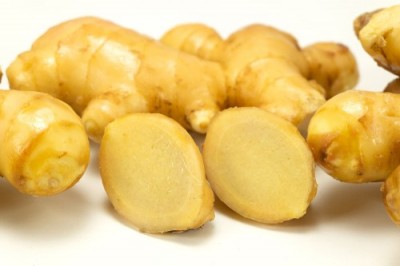 【年間定期予約:1/19受付〆切】限界突破ショウガ 1kg×12回 有機JAS (高知県 ラッキー農園) 生姜 しょうが 産地直送