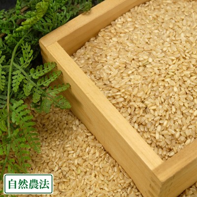 【令和4年度産】有機 清正(小粒) 玄米 30kg 自然農法 (熊本県 那須自然農園) 産地直送