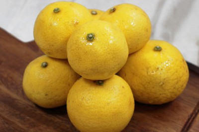 【A・B混合】 黄蜜柑(キミカン) 10kg 自然農法 (鹿児島県 かんとりぃぱぁく) 産地直送