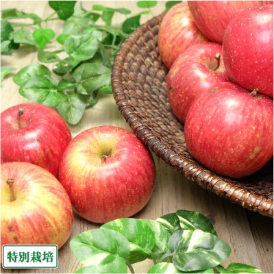 【訳あり・小玉】 サンふじ 4～5kg 特別栽培 (青森県 田村りんご農園) 産地直送