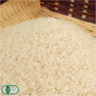 【令和3年度産】 有機 あきたこまち 精米 10kg 有機JAS (岩手県 いわて大東有機) 産地直送