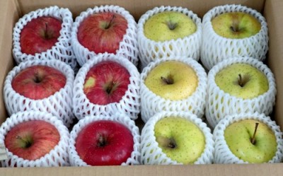 【クール便・家庭用】有機りんご2色セット 3kg箱 有機JAS (青森県 北上農園)