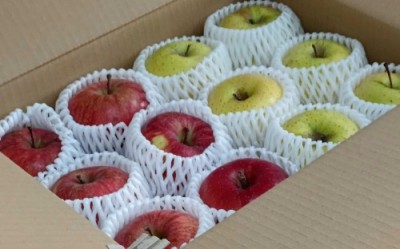 【クール便・家庭用】有機りんご2色セット 3kg箱 有機JAS (青森県 北上農園)