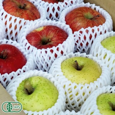 【家庭用】有機りんご2色セット 3kg箱 有機JAS (青森県 北上農園)