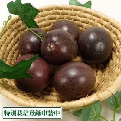 【ポイント2倍・予約】パッションフルーツ 約1kg 特別栽培申請中(無・無) (沖縄県 あたびーファーム) 産地直送