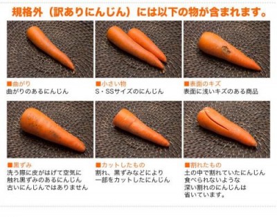 【定期購入】【クール便・訳あり】 にんじん 10kg箱×4箱定期配送(1週間に1箱)(ふるさと21)