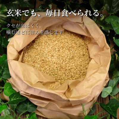 【自然農法】はれわたり 玄米 300g お試し2合|小田農園(青森県)送料無料