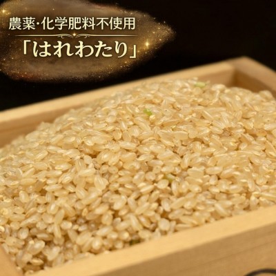 【令和7年度産米】 はれわたり 玄米 10kg 自然農法 (青森県 小田農園) 産地直送