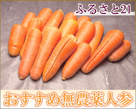 【訳あり】  にんじん 5kg箱 無農薬 (ふるさと21)