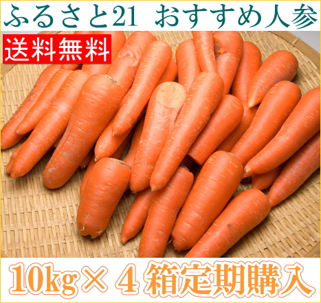 【定期購入】【クール便・訳あり】 にんじん 10kg箱×4箱定期配送(1週間に1箱)(ふるさと21)