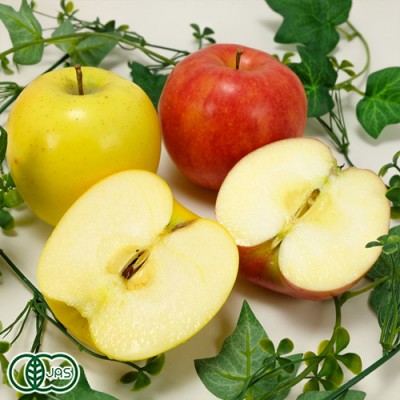 【予約・家庭用・小玉】有機 サンふじ 黄りんご 2色セット 2.5kg箱 有機JAS (青森県 北上農園)