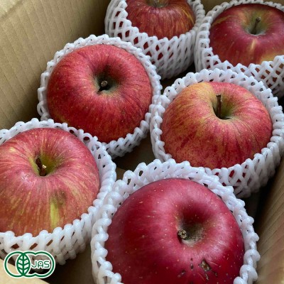 【大玉・訳あり】有機りんご(赤) 2kg箱 有機JAS (青森県産)