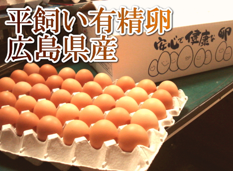 【ポイント3倍】平飼い有精卵　40個(広島県　はやしなちゅらるふぁーむ)送料無料・産地直送・健康たまご