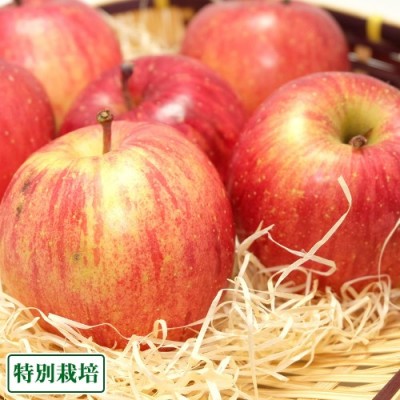 【予約・訳あり】ふじ 5kg箱 特別栽培 (青森県 田村りんご農園) 産地直送
