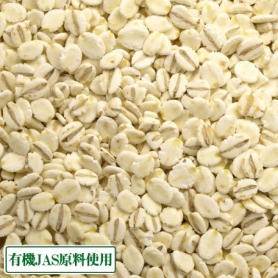 押麦 500g×1袋 有機JAS原料 (岡山県 吉備路オーガニックワーク) 産地直送
