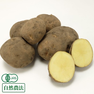 【B品サイズ混合】有機 北あかり10kg×2箱 有機JAS 自然農法 じゃがいも (北海道 はるか農園) 産地直送