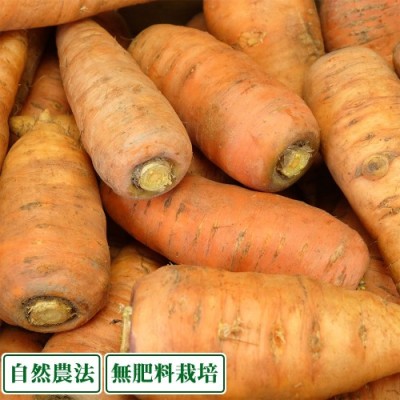 土付きにんじん A品S〜2Lサイズ混合 5kg 自然農法 (兵庫県淡路島 花岡農恵園) 産地直送