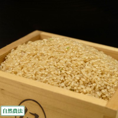 【特別感謝セール・特大値引き・令和4年度産米】 つがるロマン 玄米 10kg 自然農法 (青森県 小田農園) 産地直送